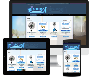 Liz Maclean Testimonial by Miracool